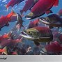 Ikan Salmon Ada Di Indonesia